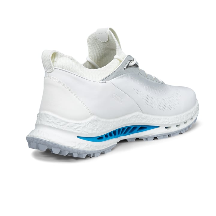 M Golf Biom C5 GTX Grå Ecco