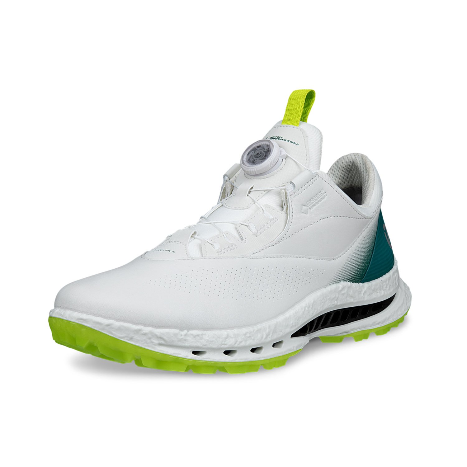 M Golf Biom C5 Boa GTX Ecco