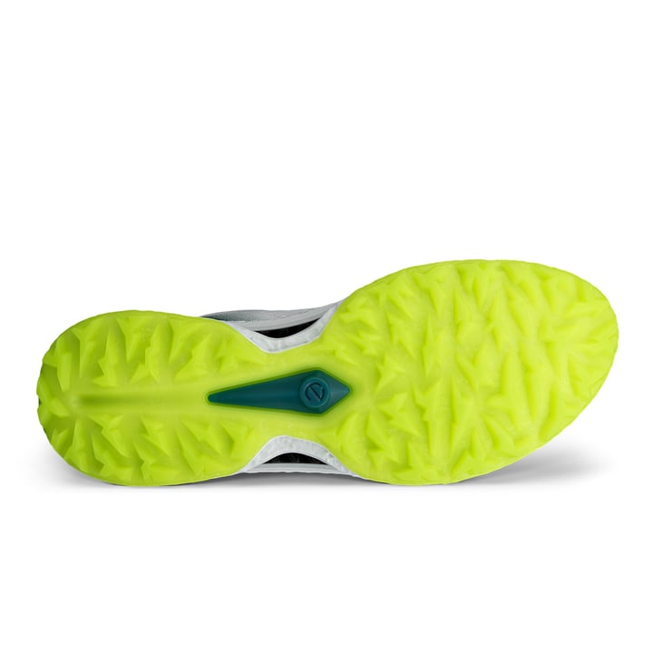 M Golf Biom C5 Boa GTX Ecco M Golf Biom C5 Boa GTX Ecco