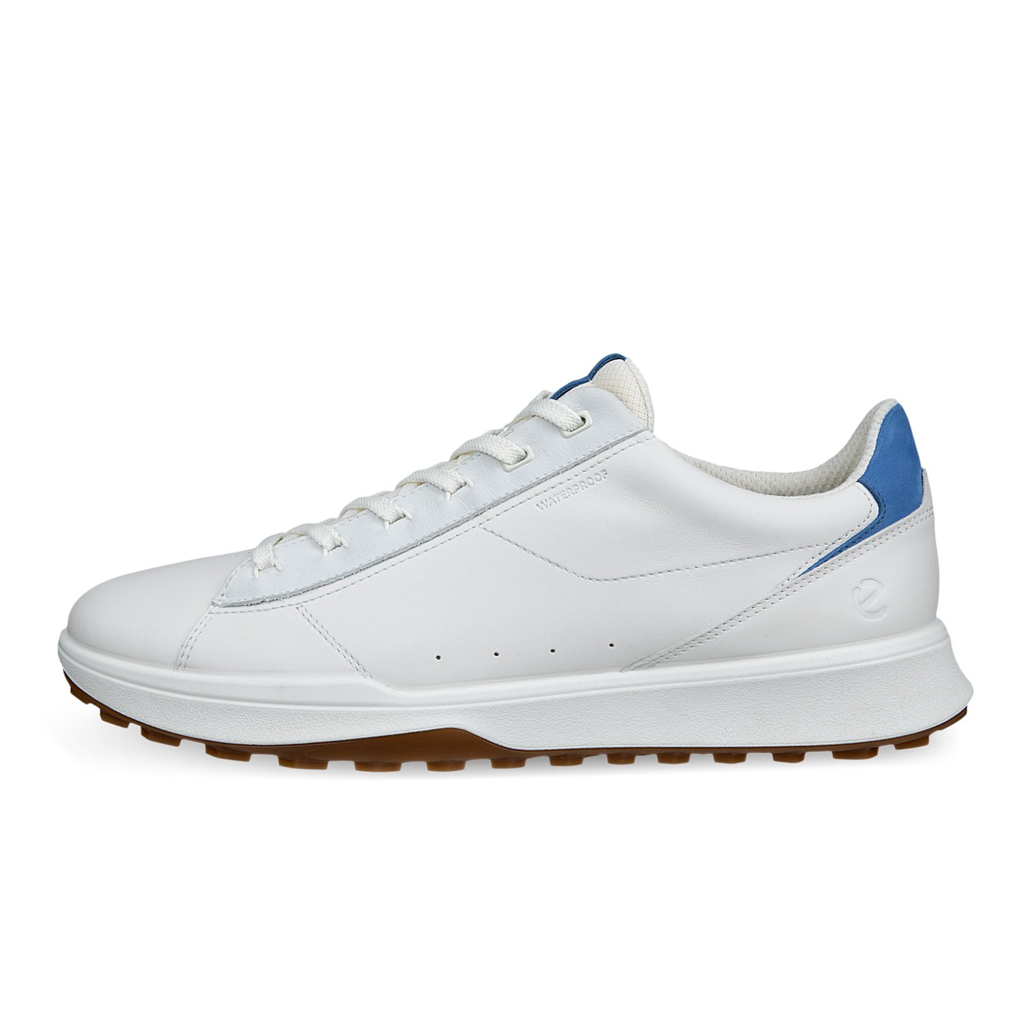 M Street Vibe WP Ecco