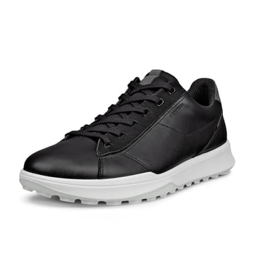 M Street Vibe WP Ecco