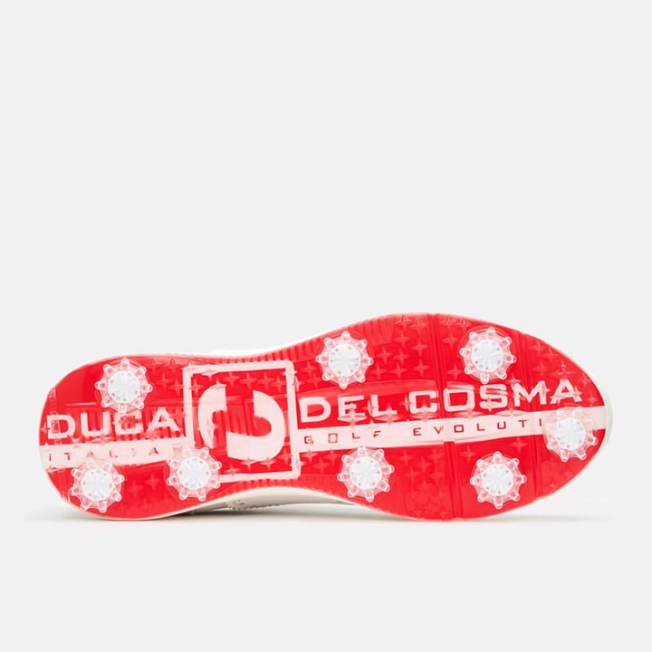 Bernardo Vit Duca del Cosma Bernardo Vit Duca del Cosma