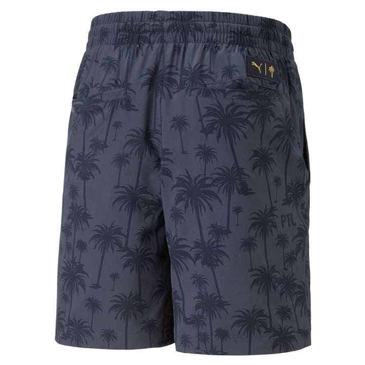 X Ptc Palm Short Blau Puma