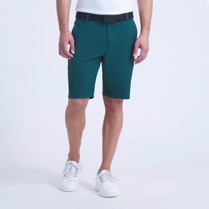 Dealer  10 Puma