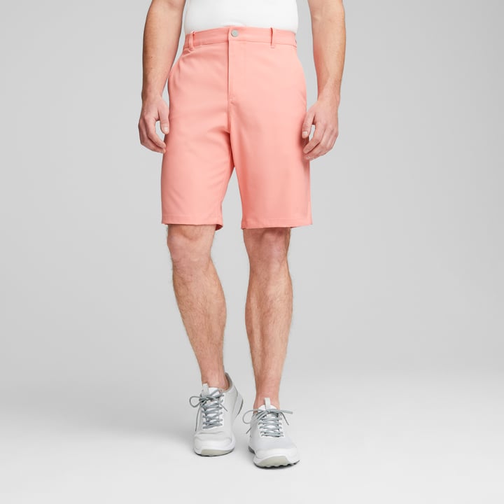 Dealer 10 Puma