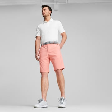 Dealer 10 Puma