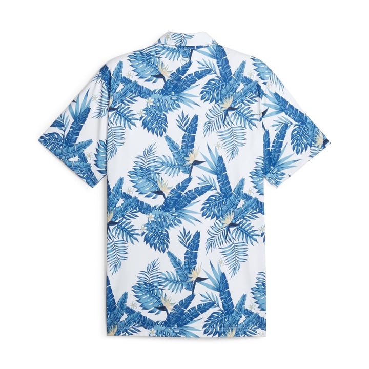 Cloudspun Aloha Puma