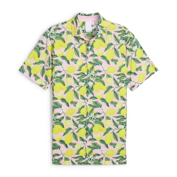 X Ap Lemon Branch Puma