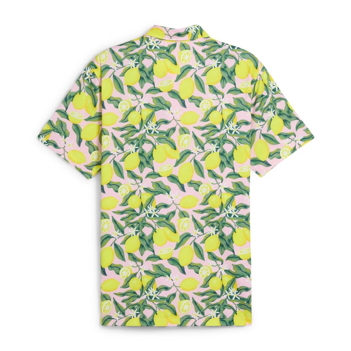 X Ap Lemon Branch Puma