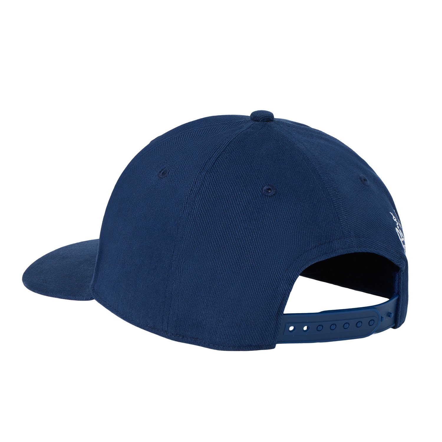 BB X Cobra SSSG Cap Cobra