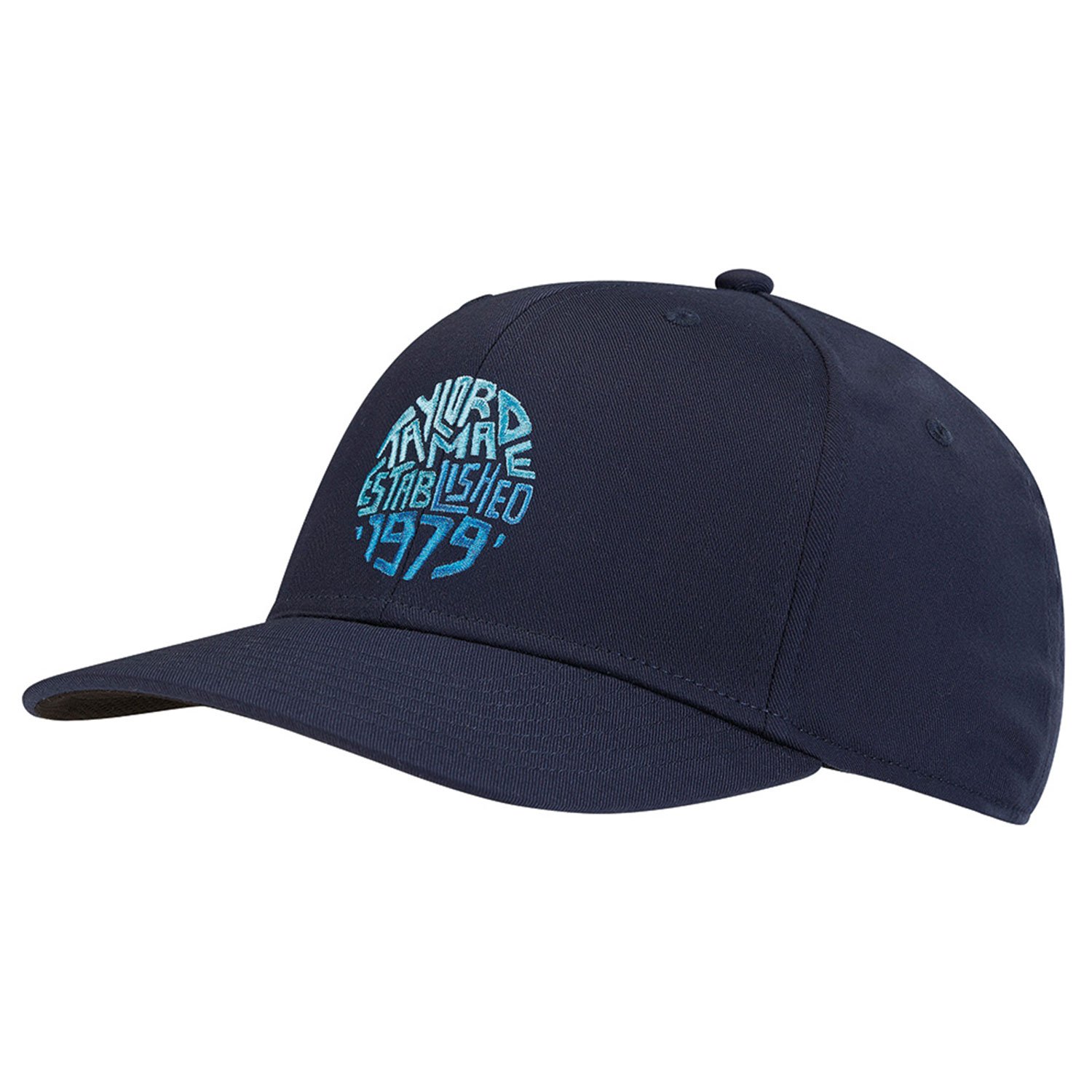 LS 1979 TM Logo Blau