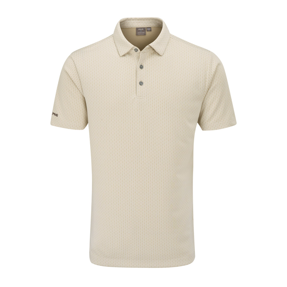 Ping Hershel P03729