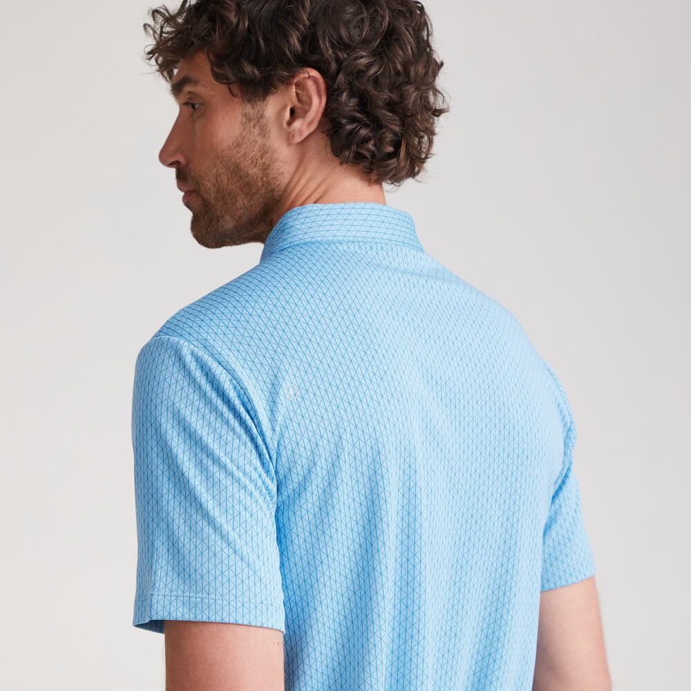 Hershel P03729 Ping Hershel P03729 Ping