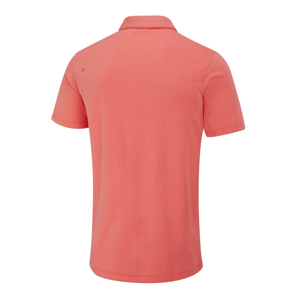 Hershel P03729 Ping Hershel P03729 Ping