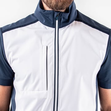 Lion Interface-1 Galvin Green