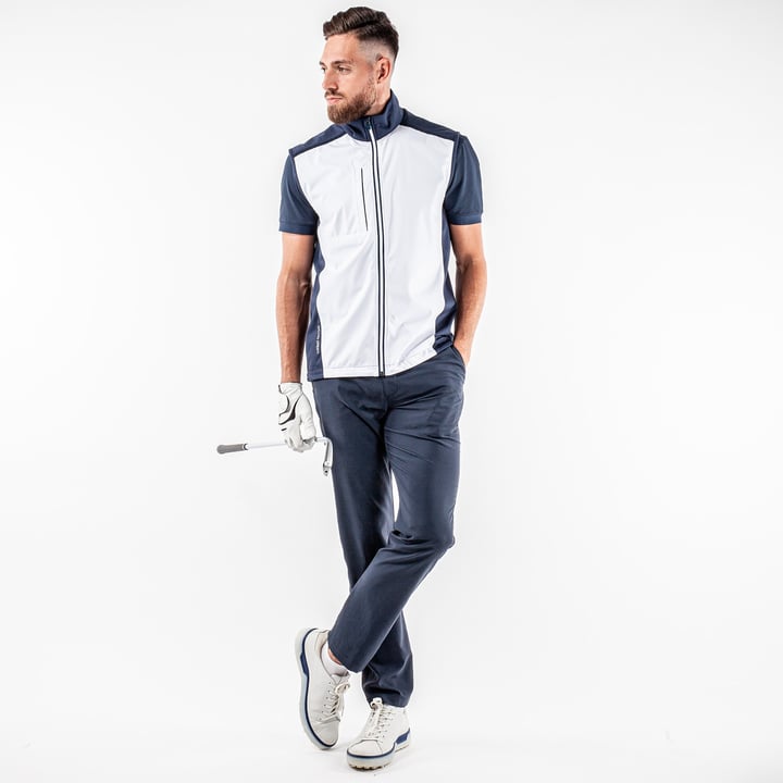 Lion Interface-1 Galvin Green