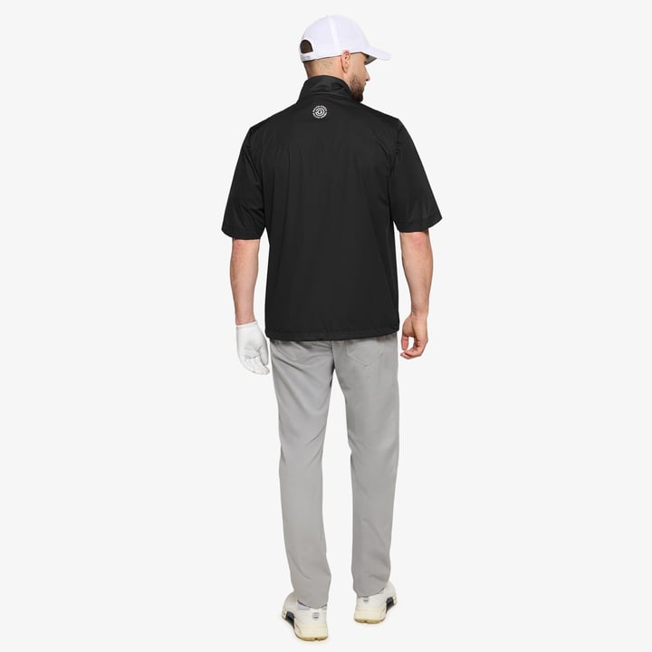 Luis Schwarz Galvin Green