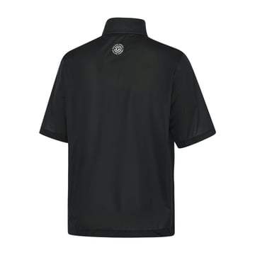 Luis Schwarz Galvin Green