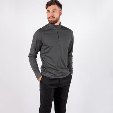 Dixon Insula Schwarz Galvin Green