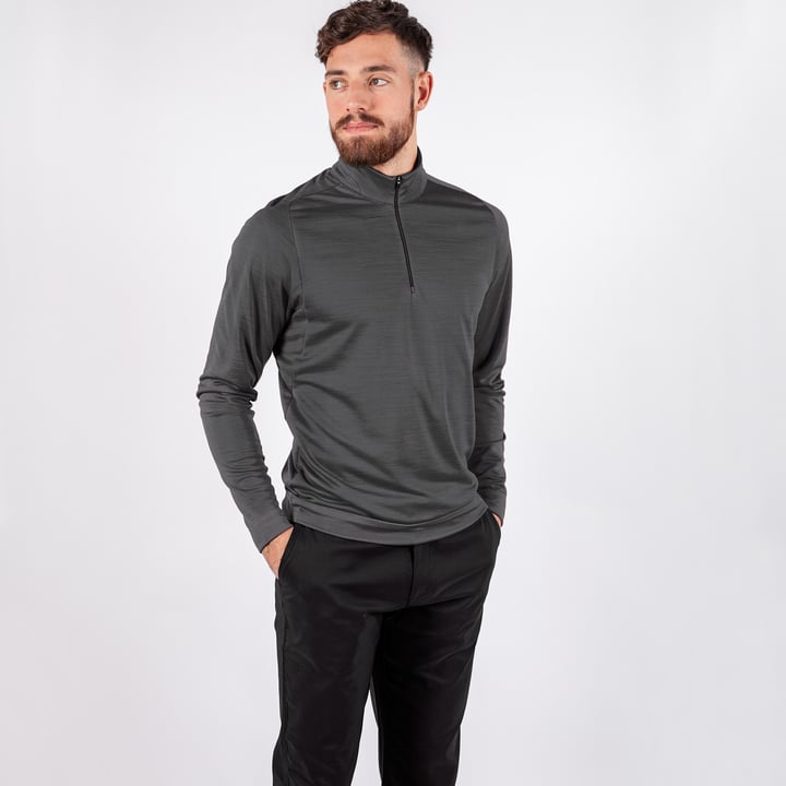 Dixon Insula Schwarz Galvin Green