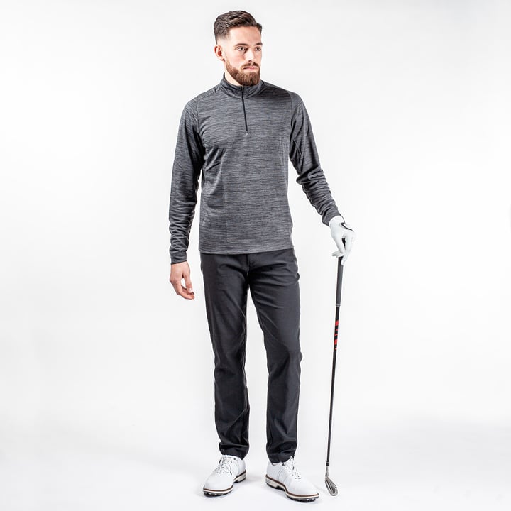 Dixon Insula Schwarz Galvin Green