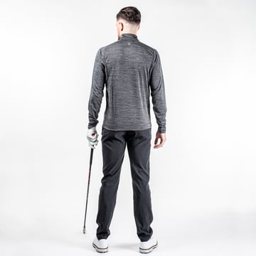 Dixon Insula Schwarz Galvin Green