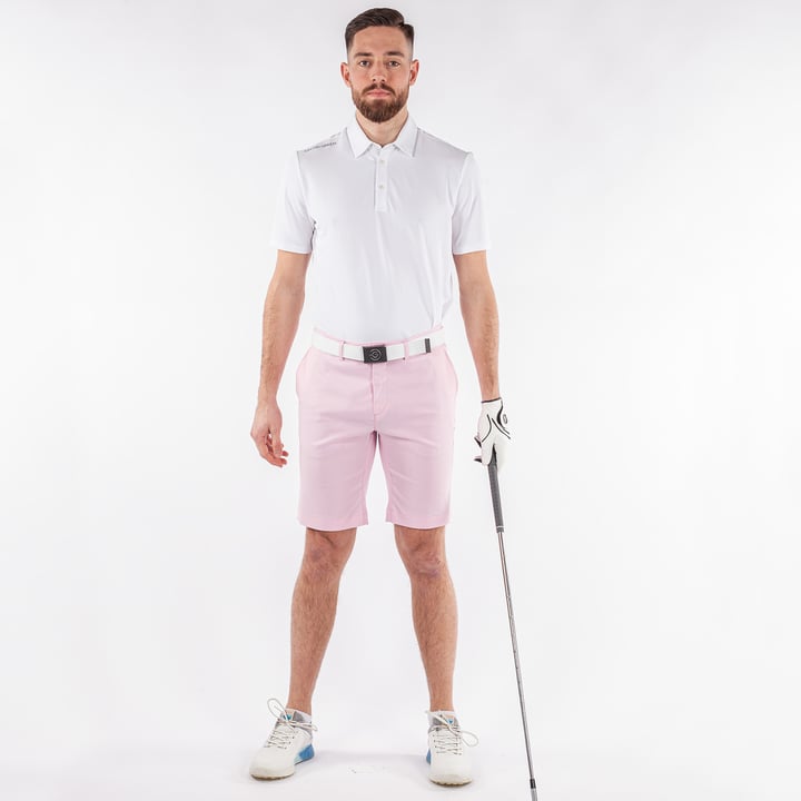Paul Ventil8 Pink Galvin Green