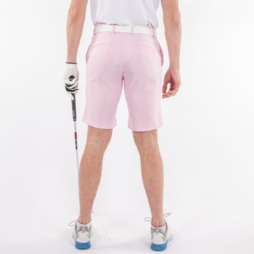 Paul Ventil8 Pink Galvin Green