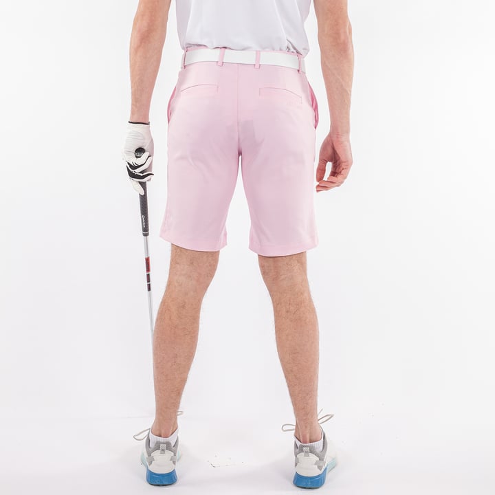 Paul Ventil8 Pink Galvin Green
