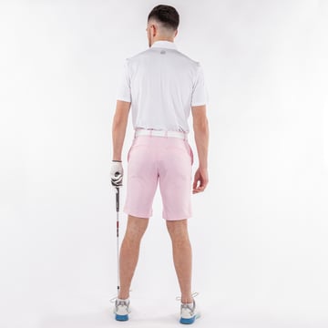 Paul Ventil8 Pink Galvin Green