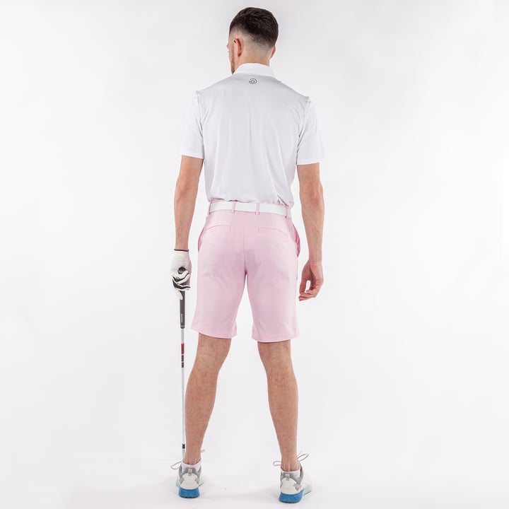 Paul Ventil8 Pink Galvin Green