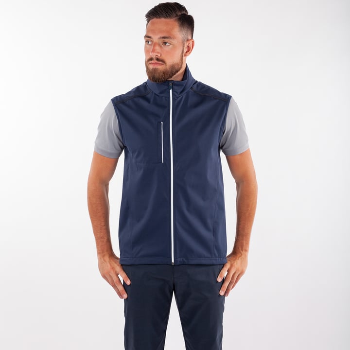 Lion Interface1 Blau Galvin Green