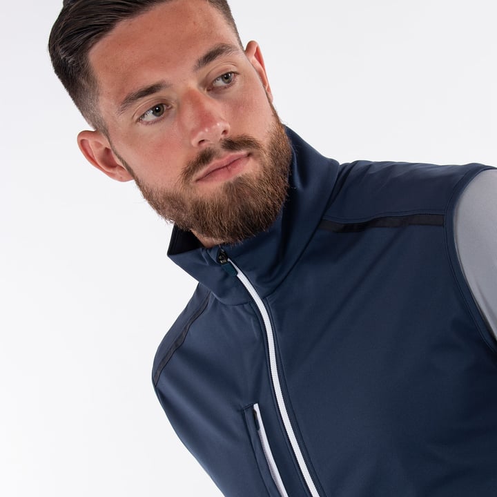 Lion Interface1 Blau Galvin Green