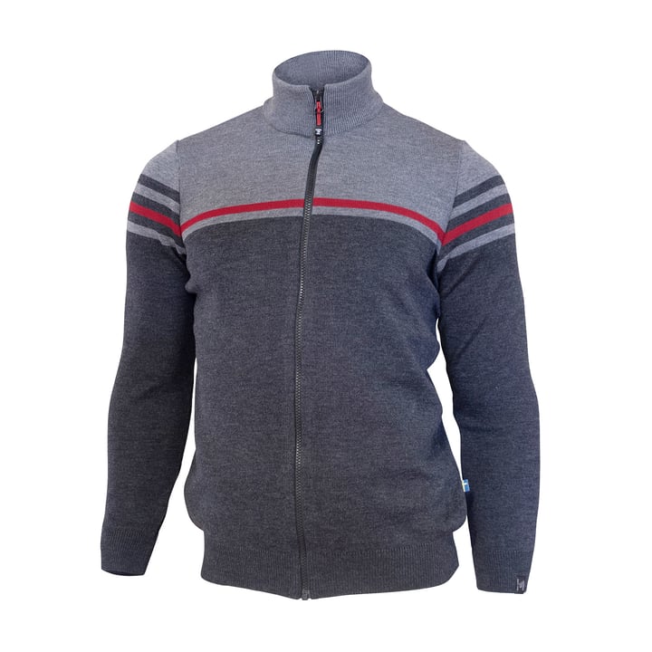 Sander Full Zip Grå Ivanhoe