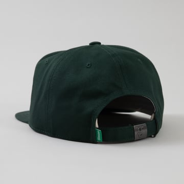 Cap Felt Vintage Fit Grønn The Gimme Tour