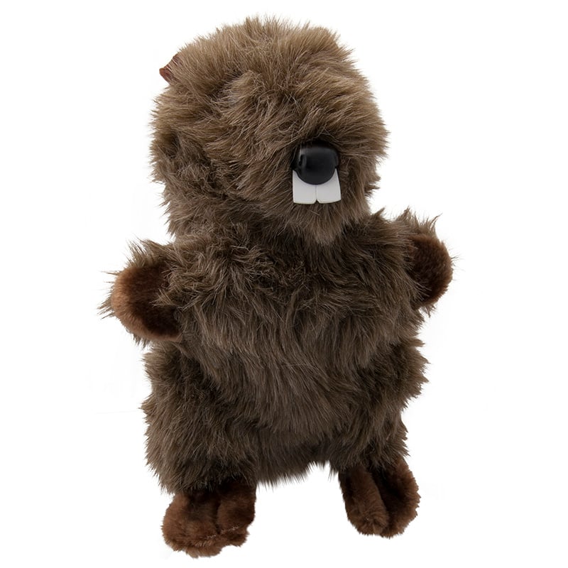 Headcover