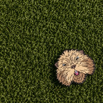 Ball Marker Pins & Aces