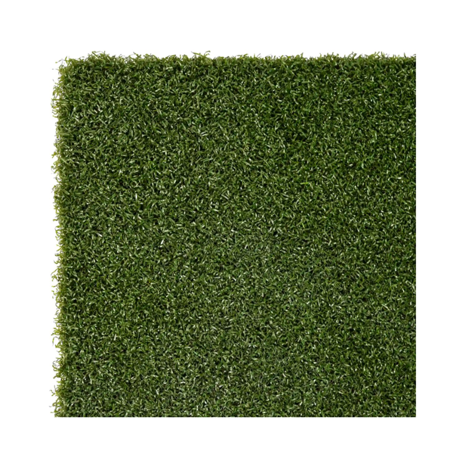 Premium Tee Turf Mat Sim Space