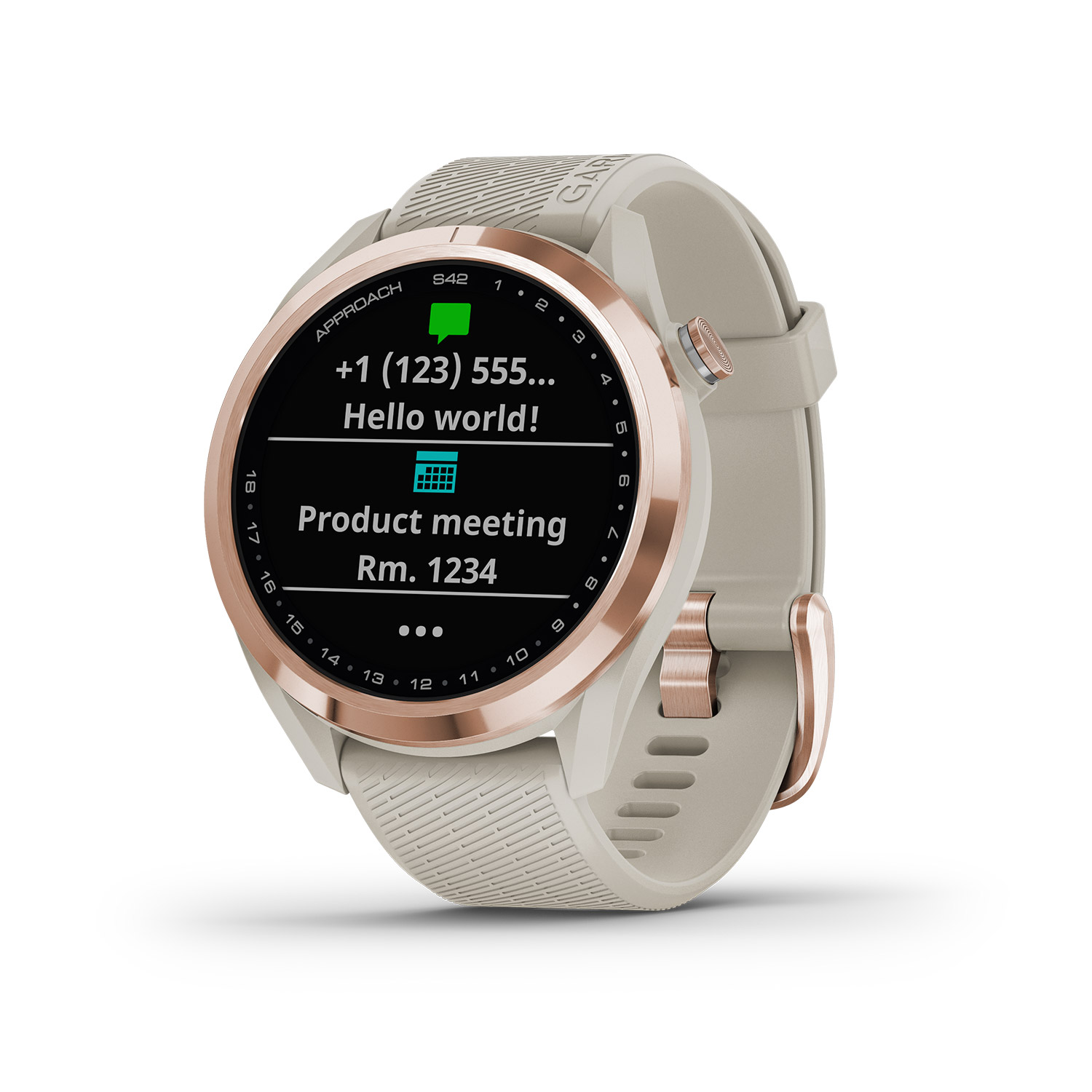 garmin s40 s42
