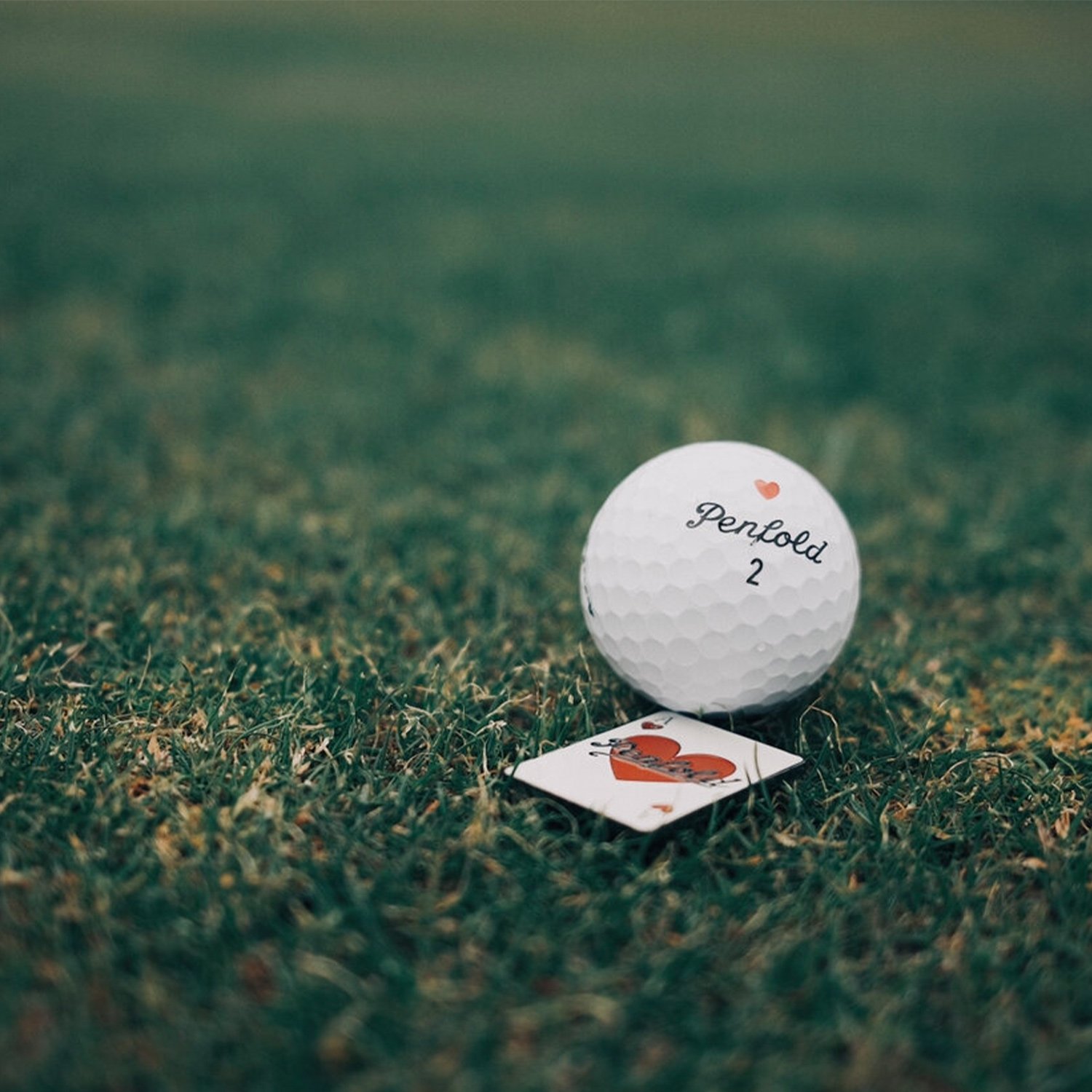 Ace Ball Marker Penfold