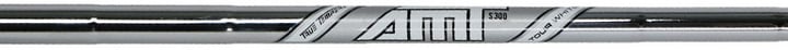 Dynamic Golf True Temper AMT Tour White