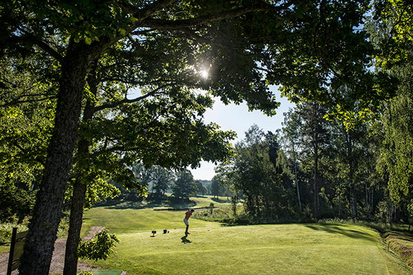Golfspelare svingar en klubba på en solig golfbana omgiven av gröna träd och gräs.