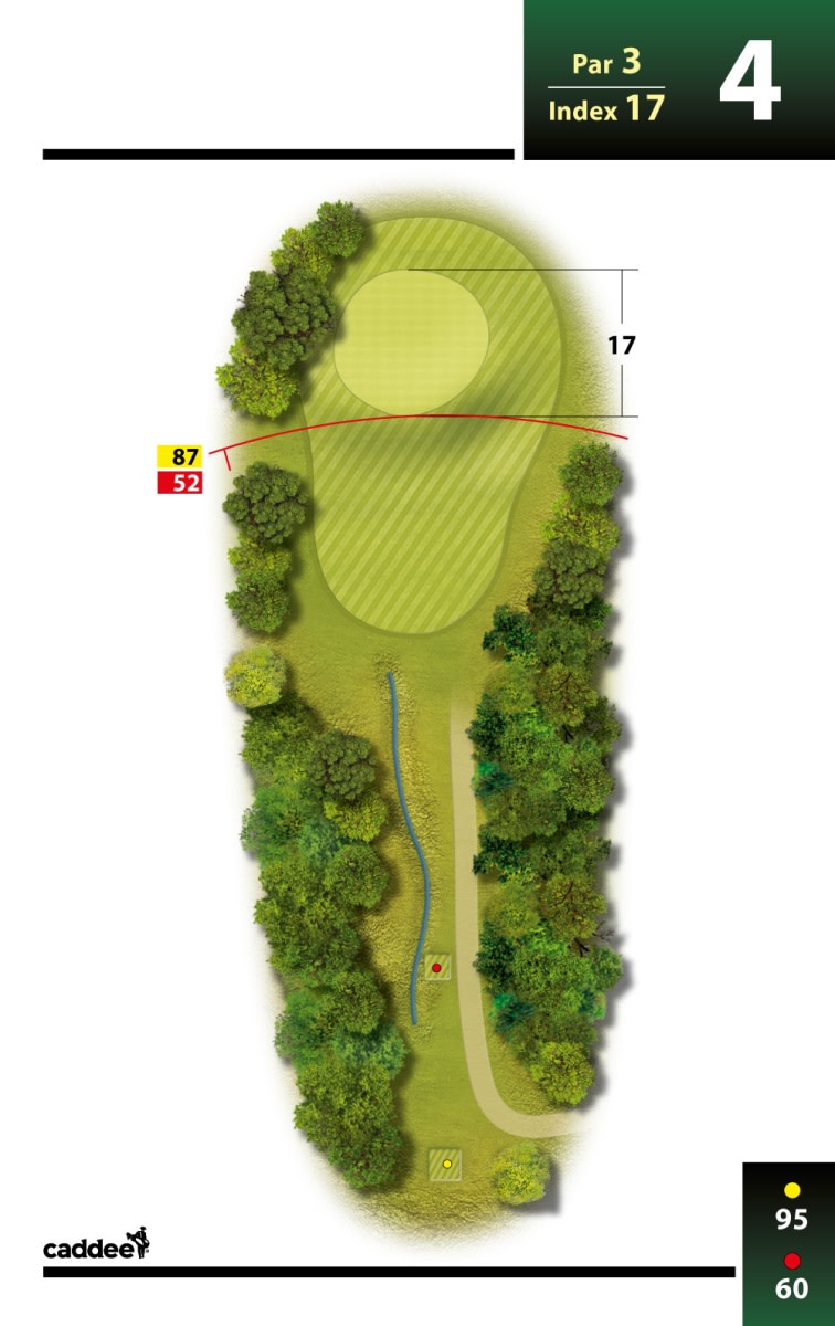 Golfhul 4, Par 3, Index 17, med green omgivet af træer, afstand 95 meter fra gul tee og 60 meter fra rød tee.