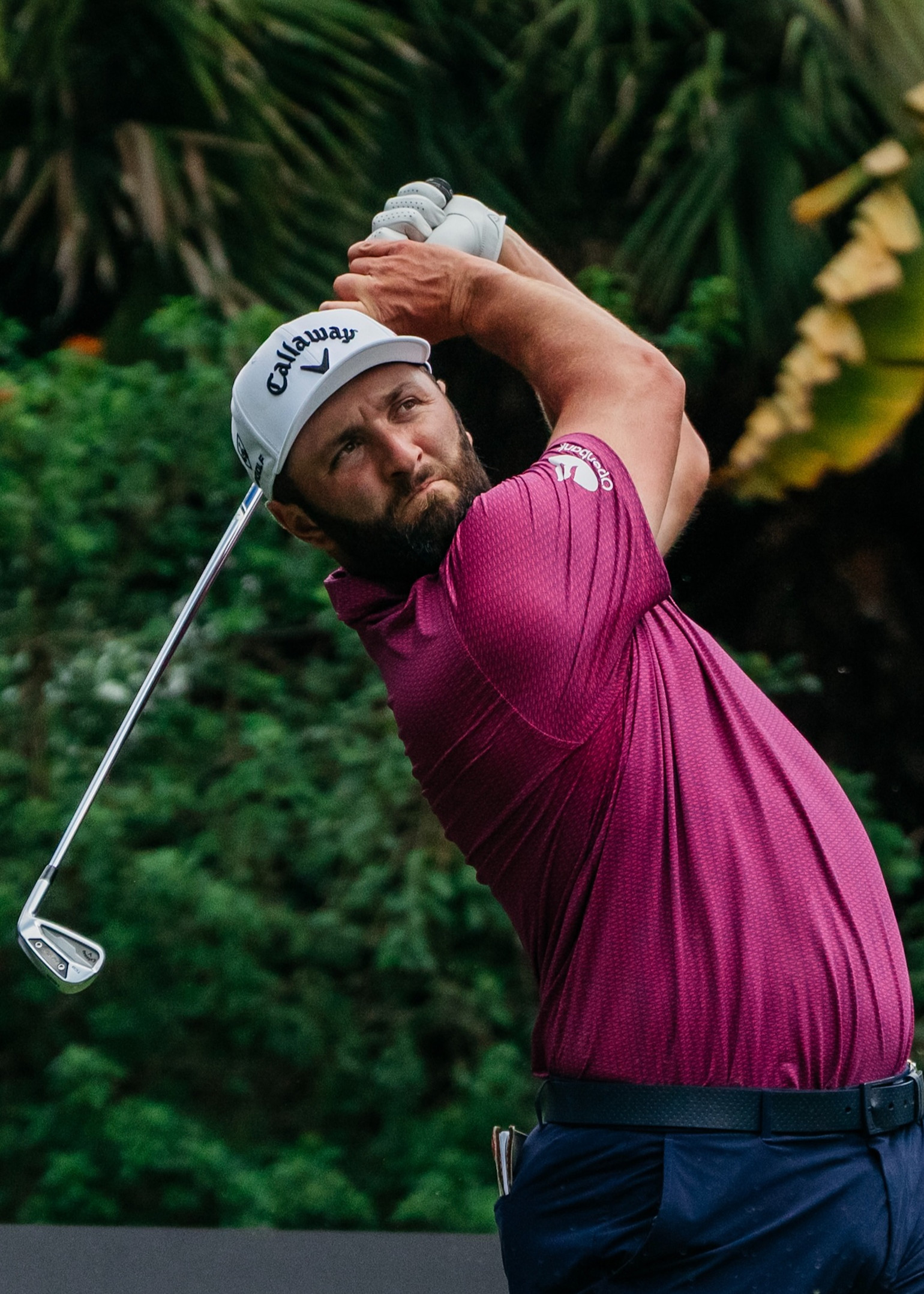 Golfspieler in lila Pullover und weißer Callaway-Kappe schwingt einen Golfschläger im Freien mit Grün im Hintergrund.