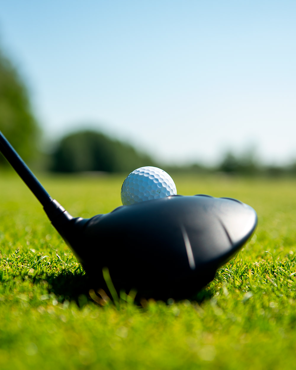 Ein Golfball liegt auf dem Gras vor einem Golfschläger, bereit, auf einem sonnigen Golfplatz geschlagen zu werden.