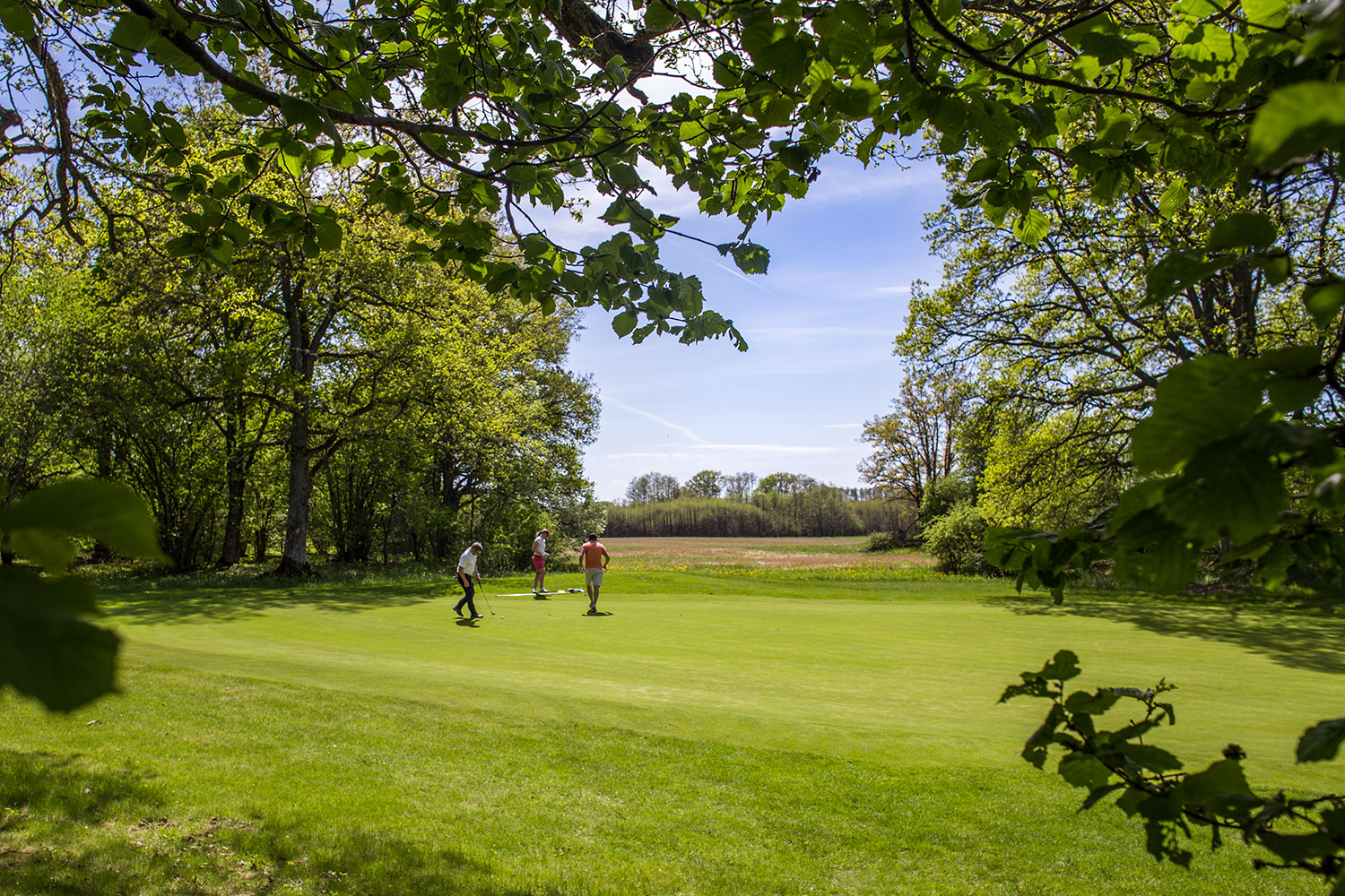 Tre personer spelar golf på en grön bana omgiven av träd och natur under en solig dag.