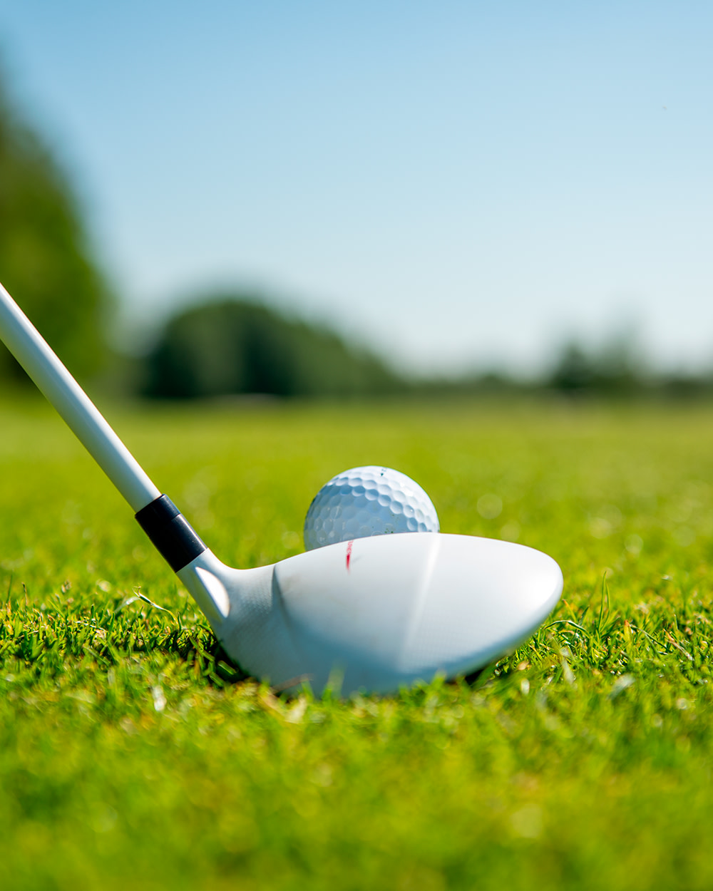 Ein Golfschläger ist auf einen Golfball auf einem grünen Rasen gerichtet, mit unscharfer Natur im Hintergrund.