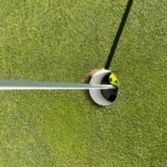 En gul golfbold ligger i hullet ved siden af flagstangen på en velplejet green.