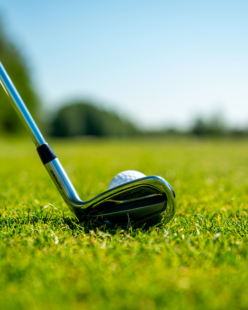Ein Golfschläger liegt an einem Golfball auf einer grünen Rasenfläche, mit unscharfem Hintergrund aus Bäumen und blauem Himmel.