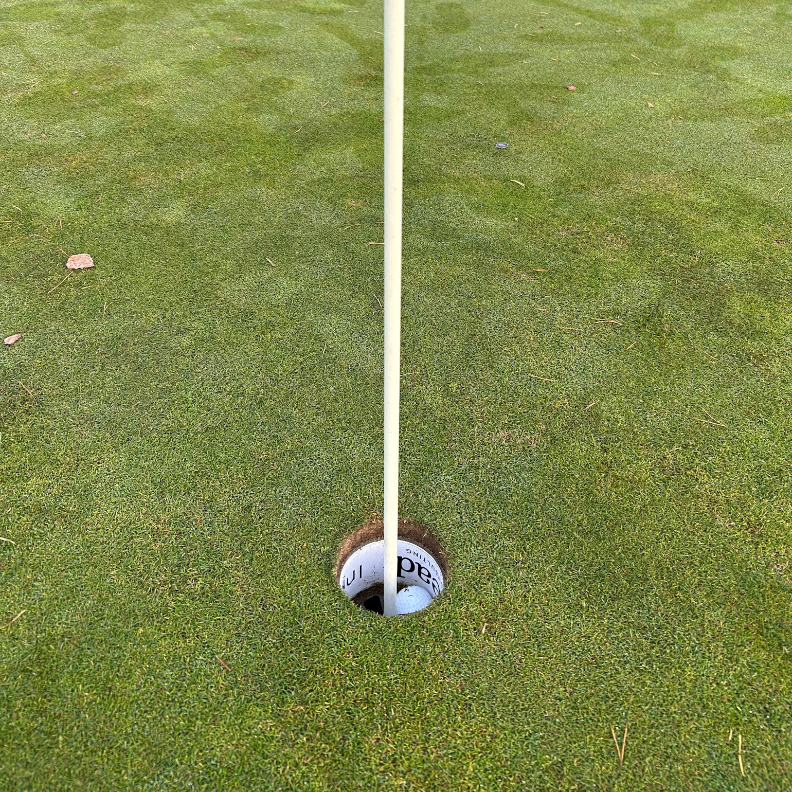 Golfboll ligger i hålet på en puttinggreen med flaggstången placerad i mitten.